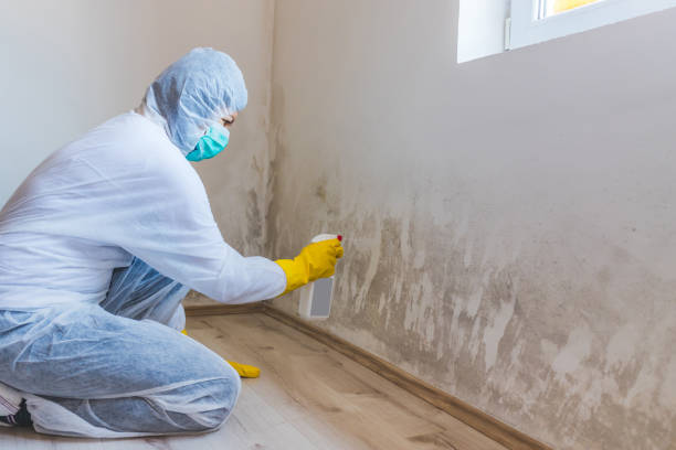 Mold Remediation specialist working in Martinsville
